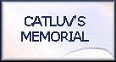 CATLUV'S MEMORIAL